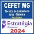 CEFET MG (Técnico de Laboratório: Área – Química) Pós Edital – Estratégia 2024