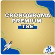 Cronograma Premium TSE – Ana Paula Blazute