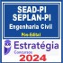 SEAD-PI e SEPLAN-PI (Analista Governamental – Infraestrutura – Engenharia Civil) Pós Edital – Estratégia 2024