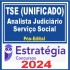 TSE – Unificado (Analista Judiciário – Serviço Social) Pós Edital – Estratégia 2024