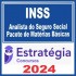 INSS (ANALISTA DO SEGURO SOCIAL – MATÉRIAS BÁSICAS) ESTRATÉGIA 2024