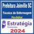 PREFEITURA DE JOINVILLE SC (TÉCNICO DE ENFERMAGEM) PÓS EDITAL – ESTRATÉGIA 2024