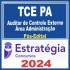 TCE PA (Auditor de Controle Externo – Área Administração – Administração) Pós Edital – Estratégia 2024