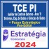 TCE PI (Auditor de Controle Externo – Área TI – Sistemas, Engenharia de Dados e Ciências de Dados + Passo) Pós Edital