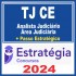 TJ CE (Analista Judiciário – Área Judiciária + Passo) Estratégia 2024