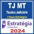 TJ MT (Técnico Judiciário + Passo) Estratégia 2024