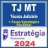 TJ MT (Técnico Judiciário + Passo) Pós Edital – Estratégia 2024