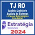 TJ RO (Analista Judiciário – Analista de Sistemas + Passo) Pós Edital – Estratégia 2024