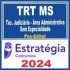 TRT MS 24ª Região (Técnico Judiciário – Área Administrativa – Sem Especialidade) Pós Edital – Estratégia 2024