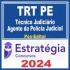 TRT PE 6ª Região (Técnico Judiciário – Agente da Polícia Judicial) Pós Edital – Estratégia 2024