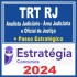 TRT RJ 1ª Região (Analista Judiciário – Área Judiciária e Oficial de Justiça + Passo) Estratégia 2024