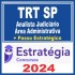 TRT SP 2ª Região (Analista Judiciário – Área Administrativa + PASSO) Estratégia 2024