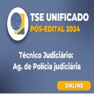 TSE UNIFICADO PÓS-EDITAL 2024: TÉCNICO JUDICIÁRIO – ÁREA ADMINISTRATIVA – AGENTE DA POLÍCIA JUDICIÁRIA (CARGO 20) - RICO DOMINGUES PÓS EDITAL