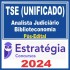 TSE Unificado (Analista Judiciário – Biblioteconomia) Pós Edital – Estratégia 2024